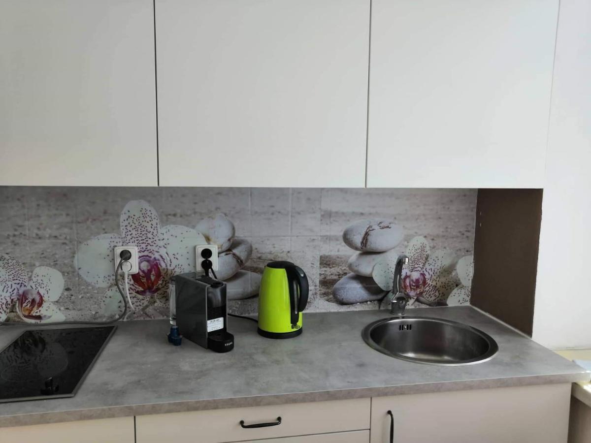Apartia Krenova 31, Brno-Center Εξωτερικό φωτογραφία